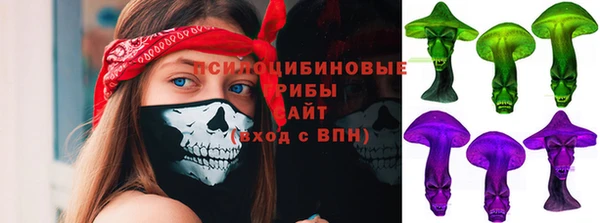 сатива Алексеевка