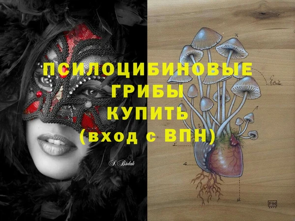 ECSTASY Алзамай